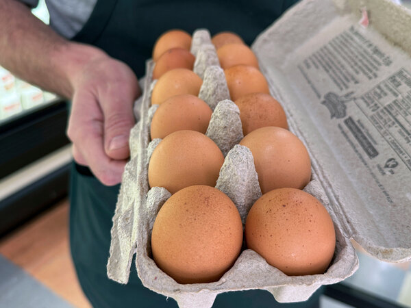 Recent Salmonella Outbreak Linked to Eggs Raises Public Concern
