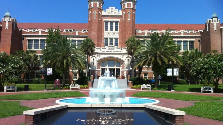 Exploring South Florida University: Trends and Opportunities