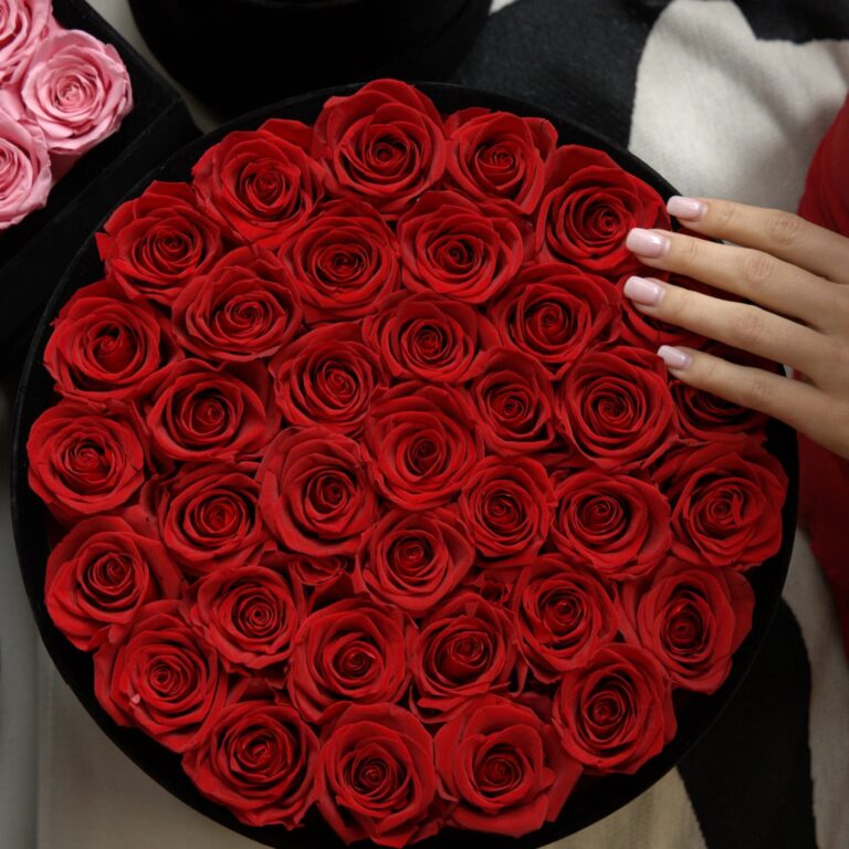 The Roses: A Guide to Their Beauty and Significance