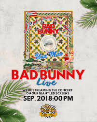Unforgettable Moments from the Bad Bunny Concert 2023