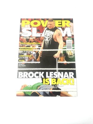 The Dual Legacy of Brock Lesnar in Wrestling and MMA
