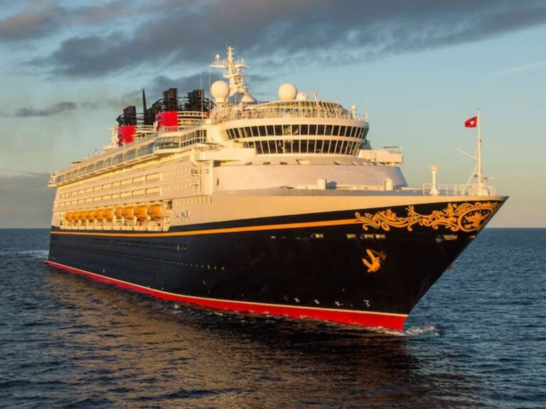 Discover the Magic of Disney Cruise Adventures