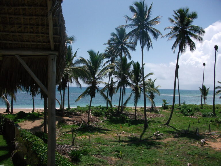 Exploring the Wonders of the Dominican Republic