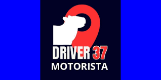 The Role of Professional Drivers in Transportation