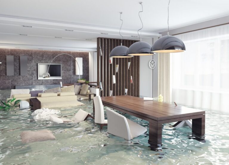 Understanding Flood Restoration: Importance and Process