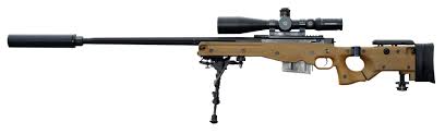 Understanding the Role of Snipers in Modern Warfare