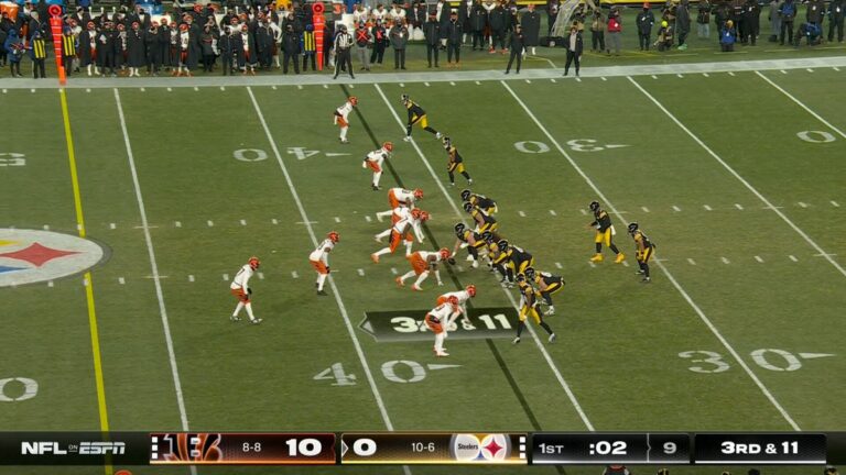 Key Highlights from the Latest Steeler Game