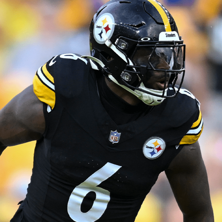 Pittsburgh Steelers: Season Update and Future Outlook