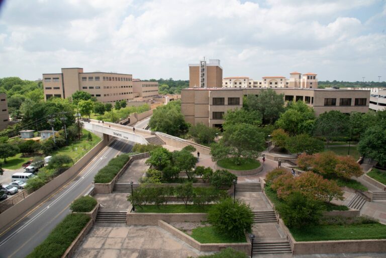 Texas State University: A Hub of Education and Culture