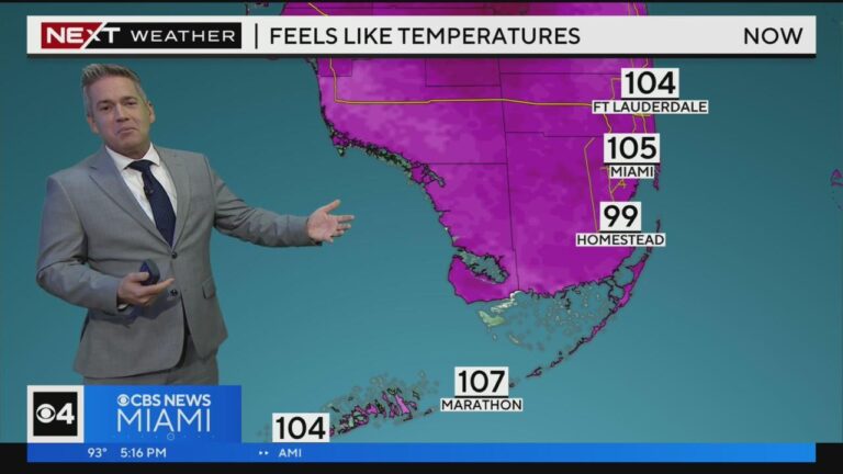Current Weather Trends in Miami: What You Need to Know