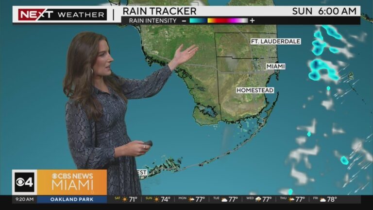 Current Weather in Miami: What You Need to Know