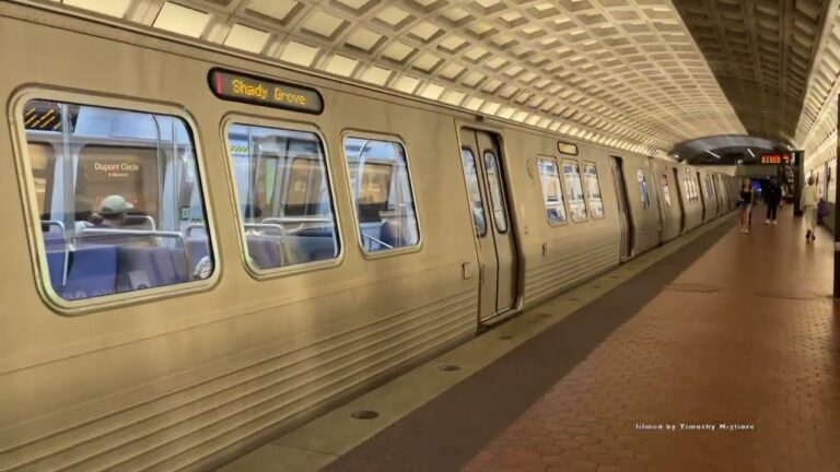 Exploring WMATA: The Backbone of D.C. Public Transit
