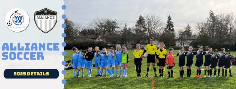 The Importance and Growth of Youth Soccer in America