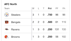 AFC North Standings: Current Rankings and What They Mean