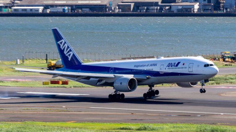 Exploring the Cultural Impact of Ana