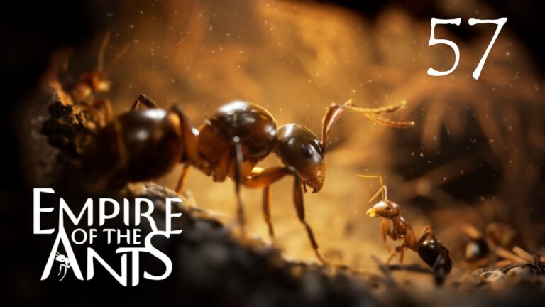 The Fascinating World of Ants: Nature’s Mighty Insects