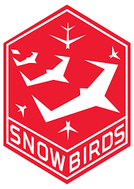 Understanding the Canadian Snowbirds Phenomenon