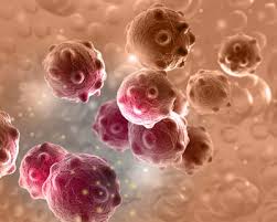 Recent Advancements in Cancer Research: A Hopeful Future