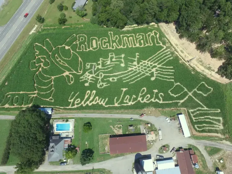 An Insight into Carlton Farms Rockmart
