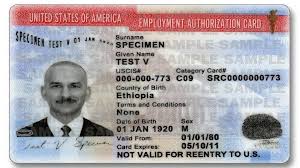 Understanding DHS Employment Authorization and Its Importance