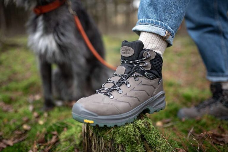 The Importance of Hiring a Professional Dog Walker