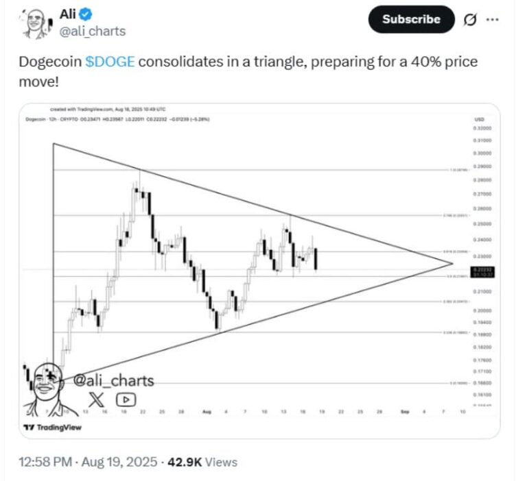 Understanding Dogecoin Price Dynamics in 2023