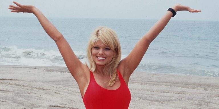 The Inspiring Journey of Donna D’Errico in Hollywood