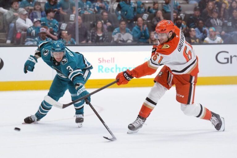 Ducks vs Sharks: Nature’s Unlikely Rivals