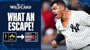 Fernando Cruz: A Breakthrough Year in Sports