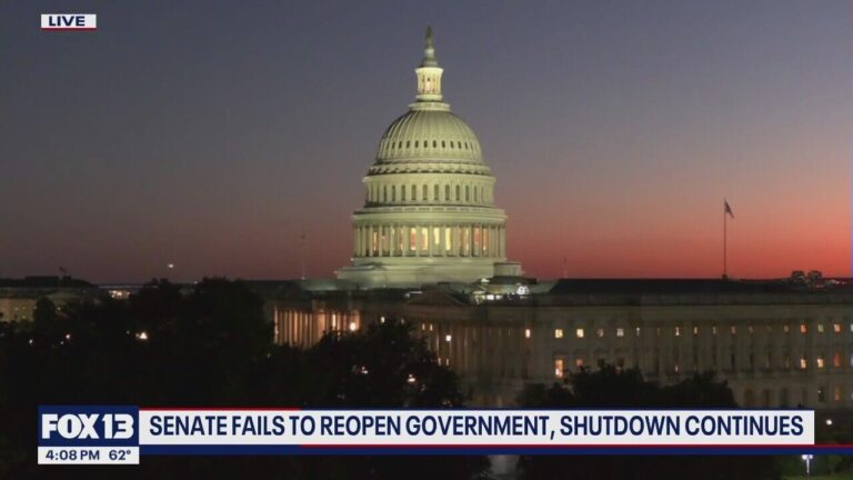 Understanding the Government Shutdown in the Senate