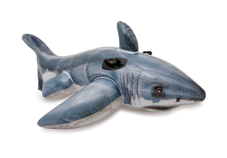 The Importance of Great White Shark Conservation