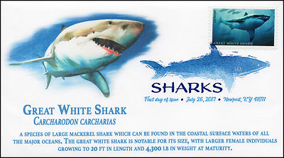 Understanding Great White Sharks: Behavior, Conservation, and Importance