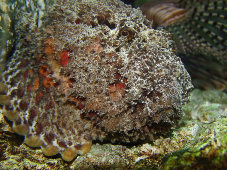 Guam: A Deep Dive into the Pacific Paradise