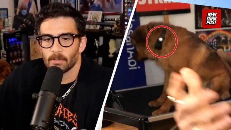 The Hasan Piker Shock Collar Controversy: An Overview
