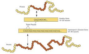 Understanding Huntington’s Disease: A Genetic Challenge