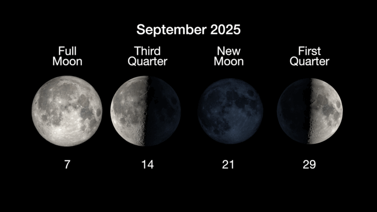 Is Tonight a Full Moon? Your Guide to Lunar Events