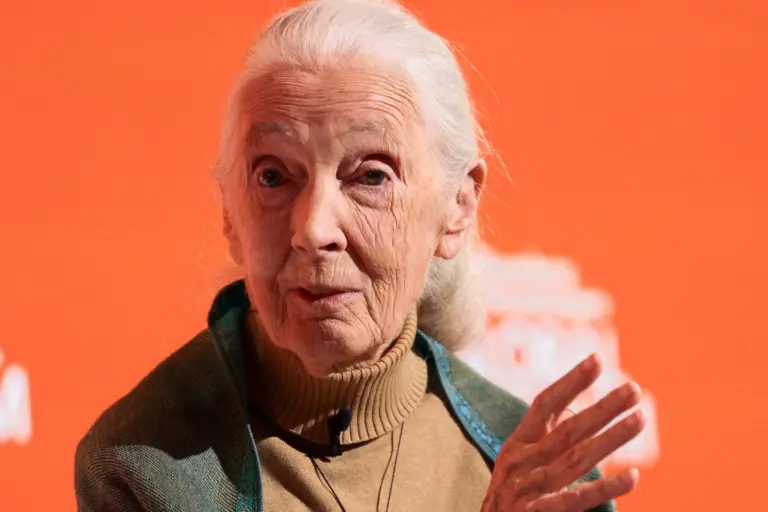The Legacy of Jane Goodall: A Voice for Animals and Nature
