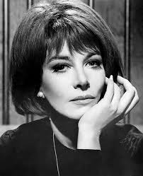 The Journey of Lee Grant: A Versatile Talent in Film