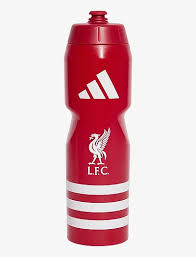 The Legacy and Future of LFC: Liverpool Football Club