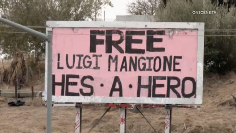 Luigi Mangione: A Leader in Technological Innovation