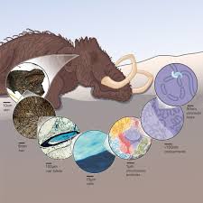 Mammoth vs Wild: A Study of Survival in Ancient Times
