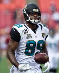 The Career and Legacy of Marcedes Lewis in the NFL