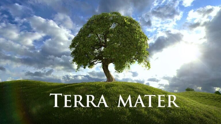 Mateer: Innovating the Future of Technology