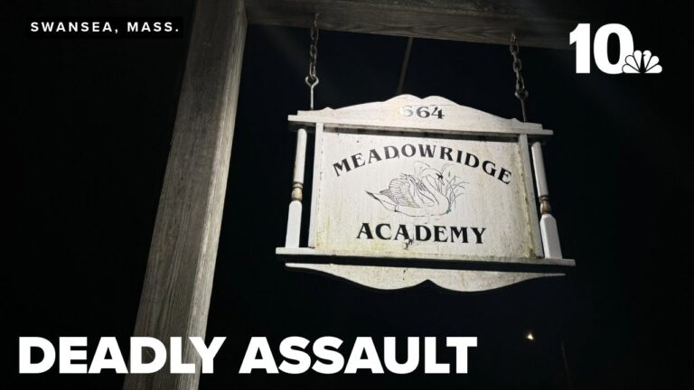 Exploring Meadowridge Academy: A Leader in Education