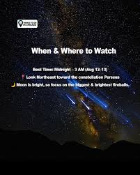 Witness the Spectacular Meteor Shower Tonight