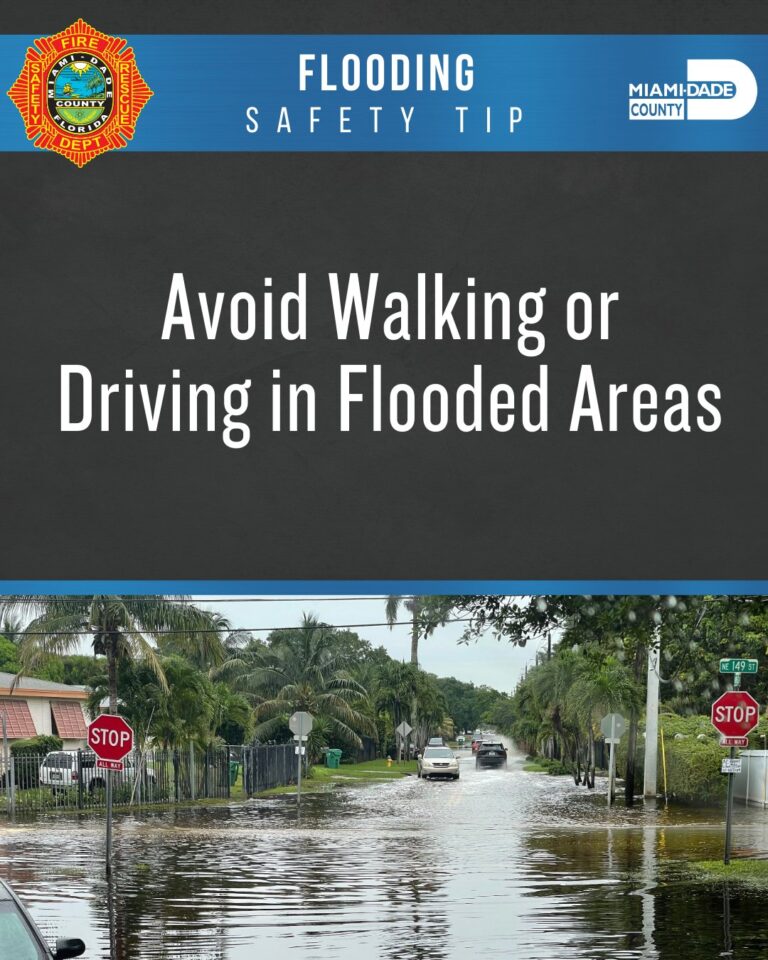 Understanding Miami Weather: Current Trends and Forecasts