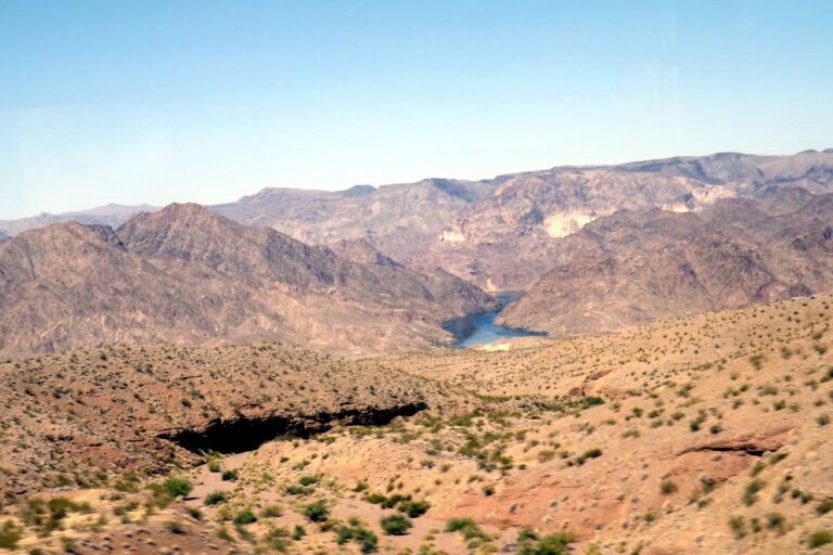 The Mojave Desert: A Unique Ecosystem in California