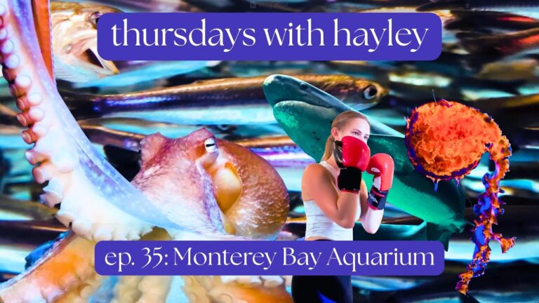 Exploring the Wonders of Monterey Bay Aquarium
