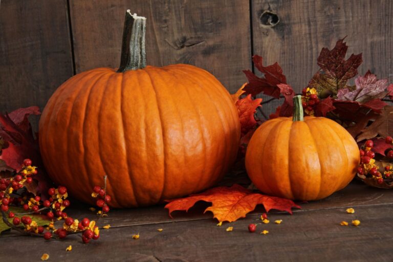Celebrating National Pumpkin Day: Facts and Traditions