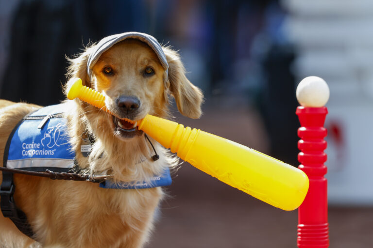 What to Expect in the Next Mariners Game